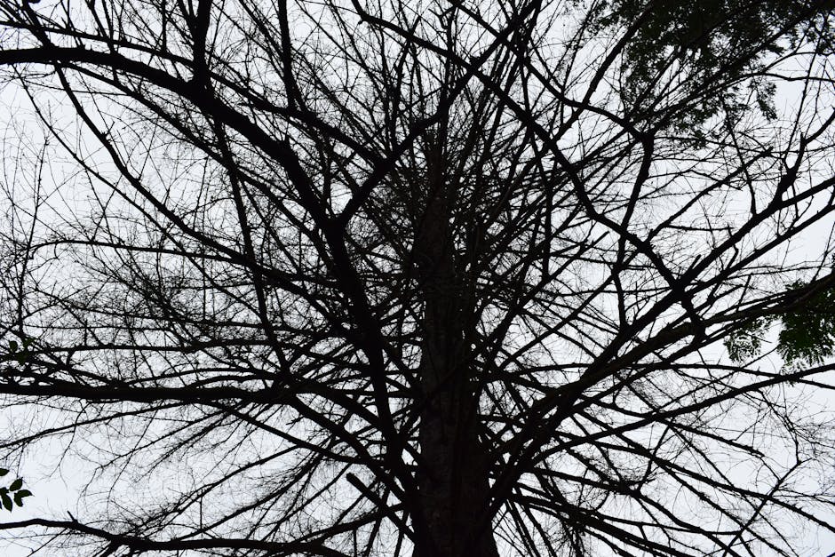 The DOM is a living tree — it grows and changes as JavaScript runs.