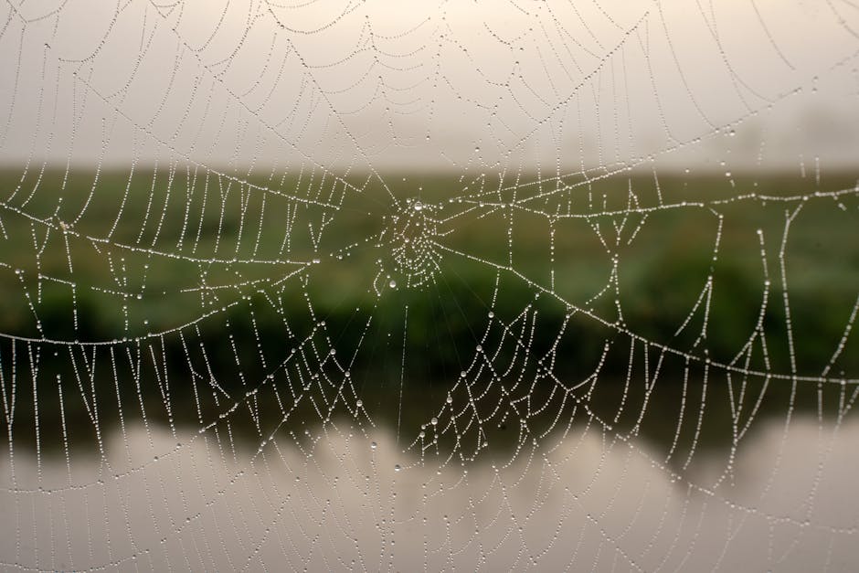 The web is vast, but the right tools make it navigable.